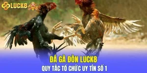 đá gà đòn