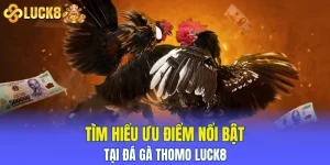 đá gà thomo